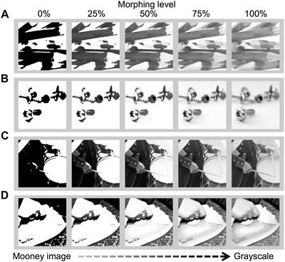 How and When? Metacognition and Solution Timing Characterize an “Aha” Experience of Object Recognition in Hidden Figures